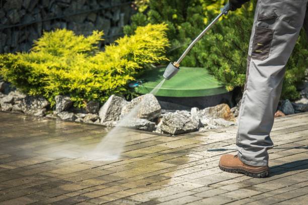 Best Winterizing Services  in Trowbridge Park, MI