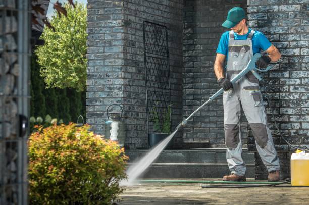 Best House Exterior Washing  in Trowbridge Park, MI