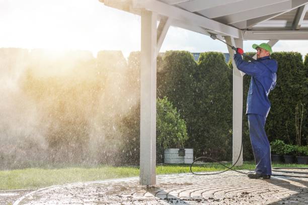 Best Patio and Deck Pressure Washing  in Trowbridge Park, MI