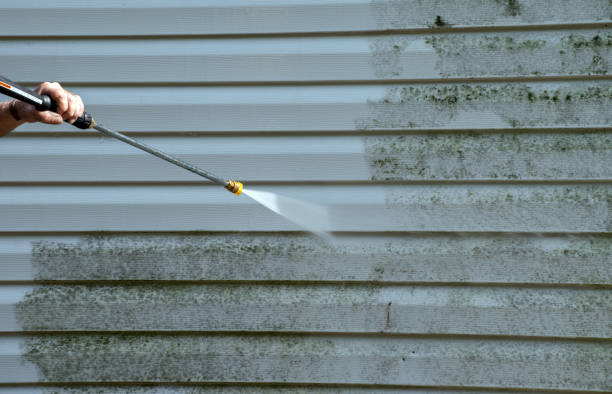 Best Solar Panel Cleaning  in Trowbridge Park, MI